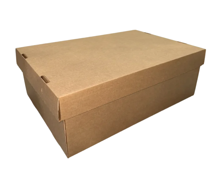 CAJA ARCHIVO BOX DUAL