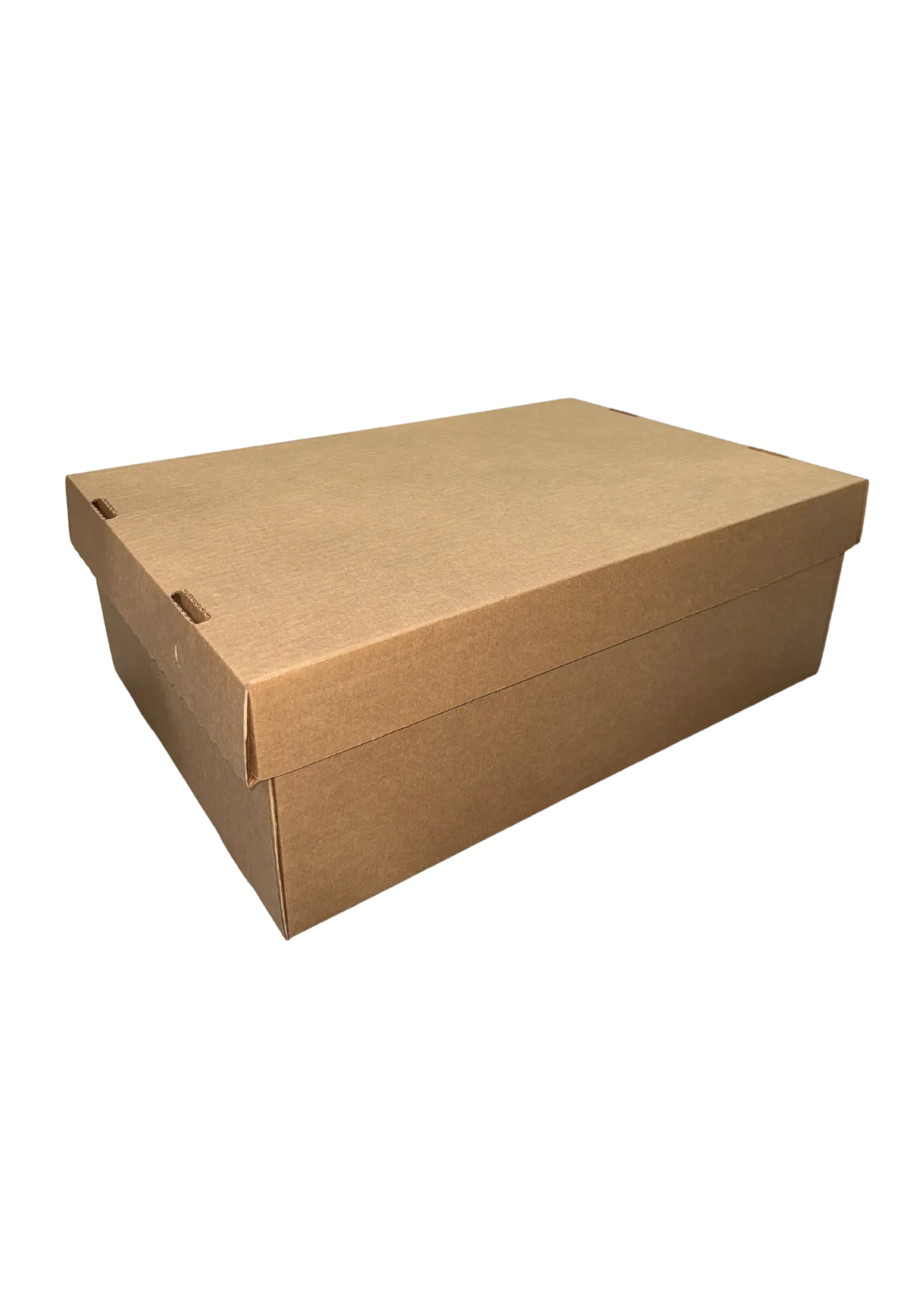 CAJA ARCHIVO BOX DUAL