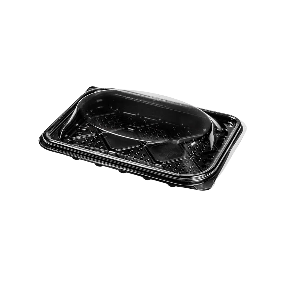 ESTUCHE BX PET BYT 500