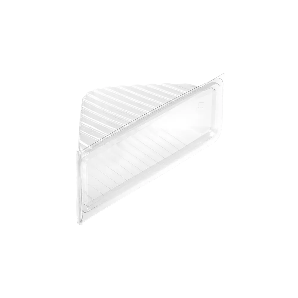 Estuche PET BX triangulo sandwich