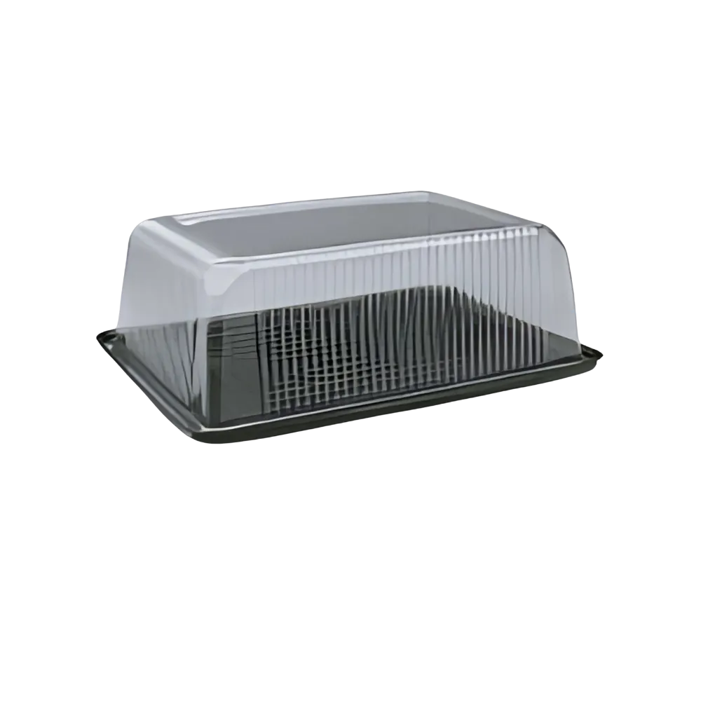 Torteras PB 41 RECTANGULAR PET